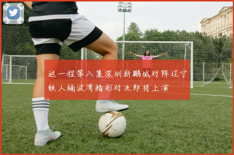 这一程第八集深圳新鹏城对阵辽宁铁人楠波湾精彩对决即将上演