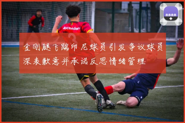 金刚腿飞踹印尼球员引发争议球员深表歉意并承诺反思情绪管理